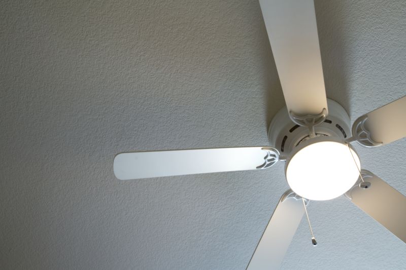 Stylish Ceiling Fan in Living Room